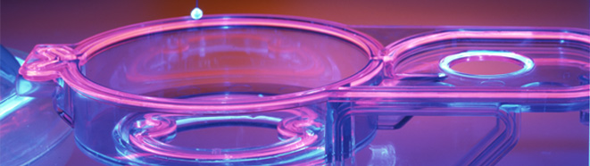 1451646517780383.jpg 16.jpg