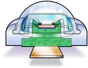 1452742807691044.jpg 2.jpg